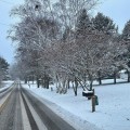 Expert Insights: The Weather During Annual Celebrations in Kent County, Michigan