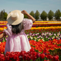 The Importance of Photography and Videography at Annual Celebrations in Kent County, Michigan