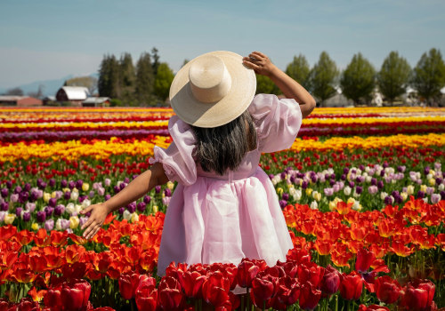 The Importance of Photography and Videography at Annual Celebrations in Kent County, Michigan